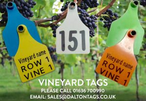 Vineyard Tags